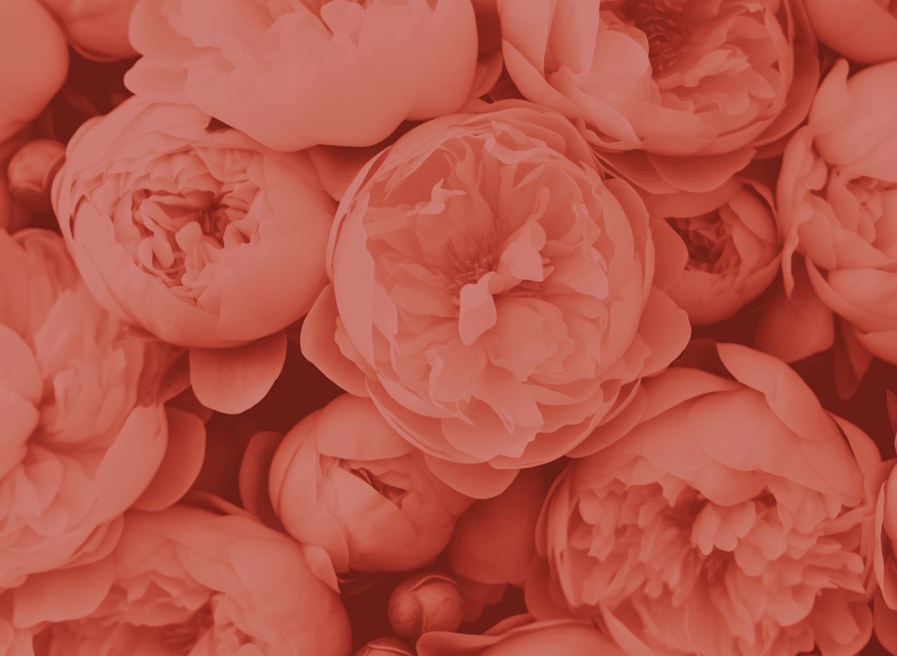 Fleurs